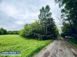 Działka w lesie z warunkami zabudowy, 2 km Wojnicz - Obrazek 1