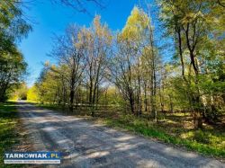 Działka w lesie z warunkami zabudowy, 2 km Wojnicz - Obrazek 2