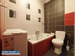 Mieszkanie 22 m2 Tarnów ul. Starodąbrowska - Obrazek 3