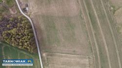 Działka widokowa pod zabudowę mieszkaniową - Obrazek 3