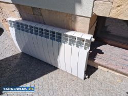 Grzejnik aluminiowy catalonia 15 żeberek - Obrazek 1