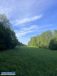 Działka w całości budowlana - Skrzyszów - Obrazek 1