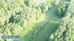 Działka w całości budowlana - Skrzyszów - Obrazek 4