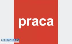 Praca w gastronomi w Nowodworzu - Obrazek 1