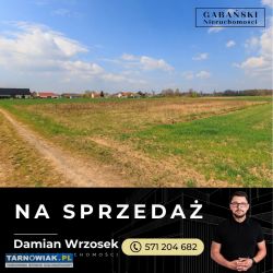 Duża działka budowlana - nieczajna górna - Obrazek 4
