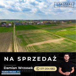 Duża działka budowlana - nieczajna górna - Obrazek 3