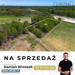 Działki produkcyjno-usługowe w ŁADNEJ KOŁO TARNOWA - Obrazek 4