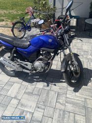 Yamaha ybr 125 - Obrazek 2