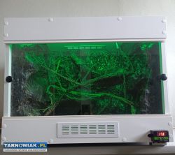 Terrarium - Obrazek 2