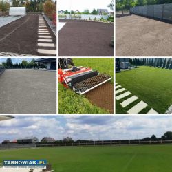 Zakładanie trawników, usługi ogrodnicze,brukarstwo - Obrazek 2