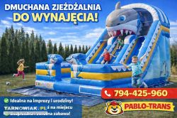 Dmuchaniec Rekin wielki zjezdzalnia - Obrazek 1