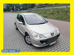 Peugeot 307 lift 1.6 hdi (5 drzwi) z 2005/06 r - Obrazek 1