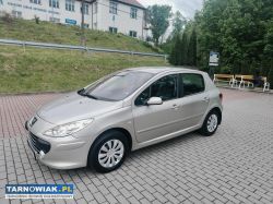 Peugeot 307 lift 1.6 hdi (5 drzwi) z 2005/06 r - Obrazek 4