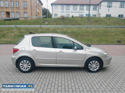 Peugeot 307 lift 1.6 hdi (5 drzwi) z 2005/06 r - Obrazek 2