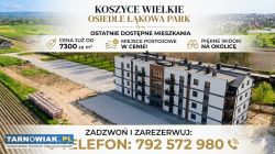 Ostatnie dostępne Apartamenty Koszyce Wielkie - Obrazek 1