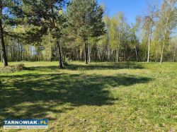 5 atrakcyjnych działek -dąbrowa tarnowska - Obrazek 1