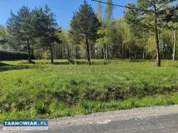 5 atrakcyjnych działek -dąbrowa tarnowska - Obrazek 2
