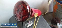 lampa na podczerwień PRL - Obrazek 1
