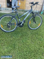 Rower wheeler 600 - Obrazek 1