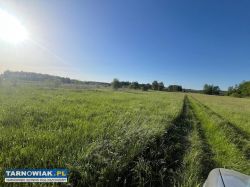 Łąka na siano - Obrazek 2