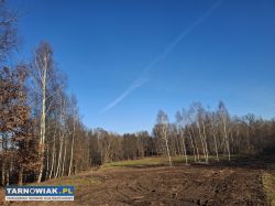 Piękna duża działka - Obrazek 2