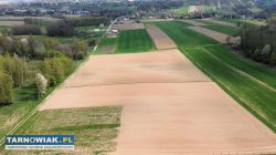 4 Działki na sprzedaż- Dębno - Obrazek 1