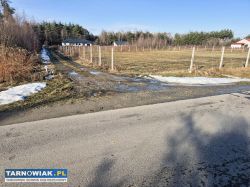 Przecław - działka na sprzedaż - Obrazek 4