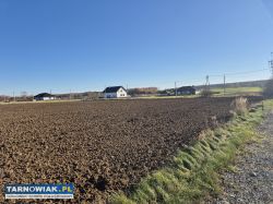 Dąbrowa Tarnowska - działka budowlana - Obrazek 1