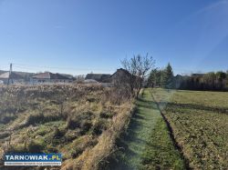 Dąbrowa Tarnowska - działka budowlana - Obrazek 3