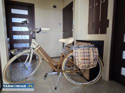 Sprzedam rower miejski włoskiej firmy Zarma - Obrazek 2