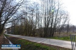 Komercyjna w centrum - Obrazek 2
