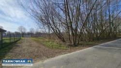 Komercyjna w centrum - Obrazek 3