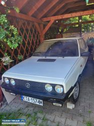 Polonez - Obrazek 1