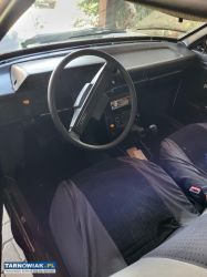 Polonez - Obrazek 2