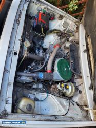 Polonez - Obrazek 3