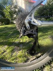 Rower MTB bulls King boa - Obrazek 3