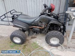 Quad 250 - Obrazek 1