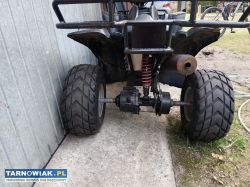 Quad 250 - Obrazek 2