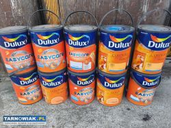 Farba Dulux 5l - Obrazek 1