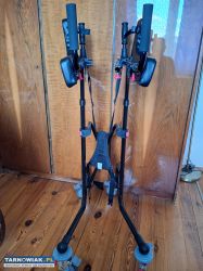 Pionizer sprzedam - Obrazek 2