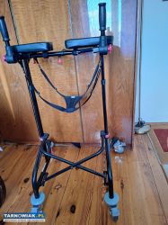 Pionizer sprzedam - Obrazek 4