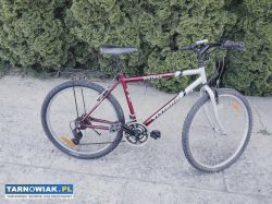 Rower vistana - Obrazek 1