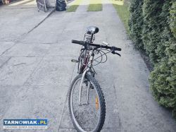 Rower vistana - Obrazek 2