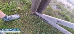 Sprzedam bramę dwuskrzyjłową  na budowę, 7metrow. - Obrazek 3