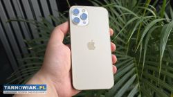 iPhone 12 Pro Max 256GB złoty, stan bardzo dobry - Obrazek 1