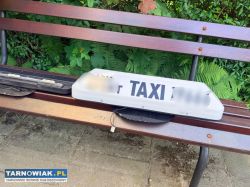 Kogut taxi - Obrazek 1