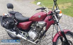 Chopper Rex 125 - Obrazek 1