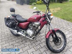 Chopper Rex 125 - Obrazek 3