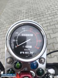 Chopper Rex 125 - Obrazek 4