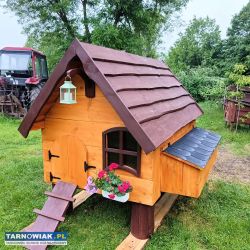Kurnik domek dla Kurek / kaczek - Obrazek 2